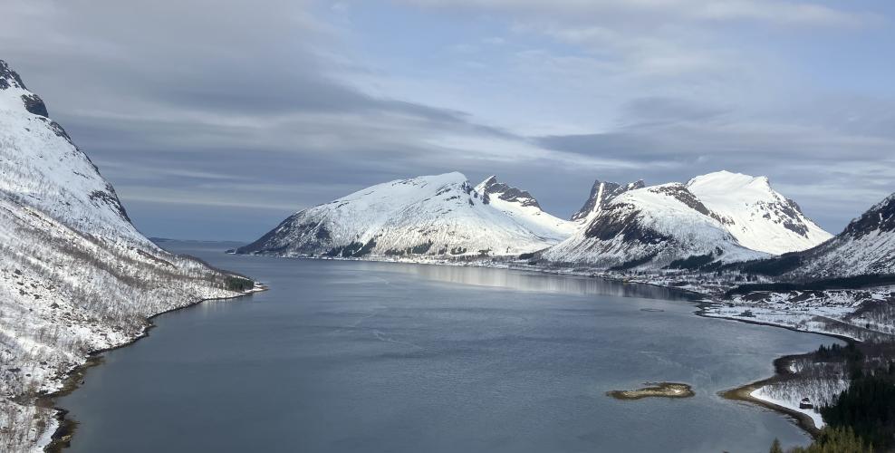 Skitouren Senja, Norwegen | © Thomas Lippitsch Geführte Skitouren auf der Insel Senja, Norwegen